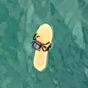 げんさん^_^ ♦︎♦︎プロフ必読の画像