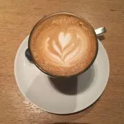 ティモの画像