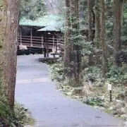 たけの画像