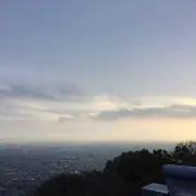 てぃーえす