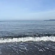 selectionの画像