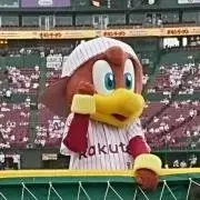 aiku