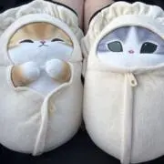 ちょうちょの画像