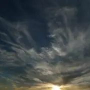 メルのすけの画像