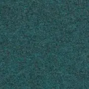 seeの画像