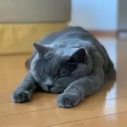 ▲△