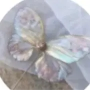 凛
