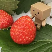 すとろべり～の画像
