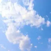 おむの画像