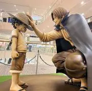 タラの画像