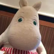 あひるの画像