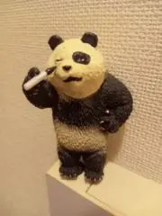 ちー子の画像
