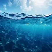 ああの画像