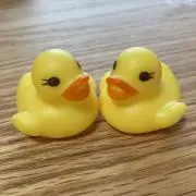 ココアの画像