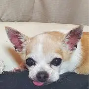 さちこ(*☻-☻*)の画像