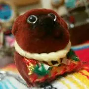 しん