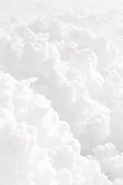 れる