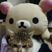 AyU^ェ^U