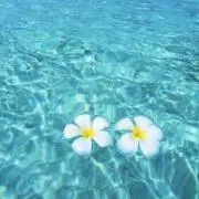 雪まる
