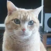 myuuの画像