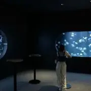 エンジェルの画像