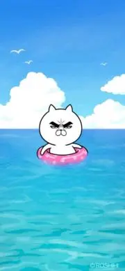 マチコの画像