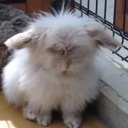 ななみぃ