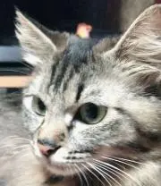 たみお1