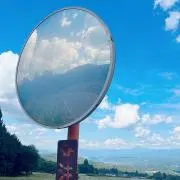 びばすけ