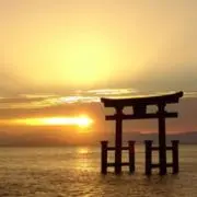 どえもん(値下げ交渉受付中)