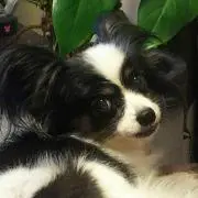 まぁちゃん☆