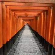 ぱからの画像