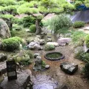 ゆき