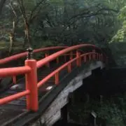 たか