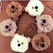 gumiの画像