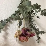chan's shopの画像
