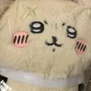 ミニの画像