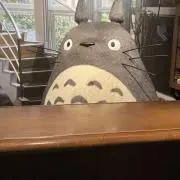 えーちゃんの画像
