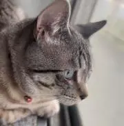 エリ