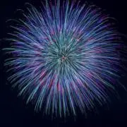 ゆまの画像
