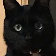 yu〜