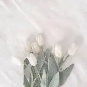 Rina_の画像
