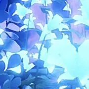 そるとの画像
