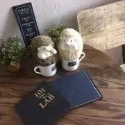 なるーちぇの画像