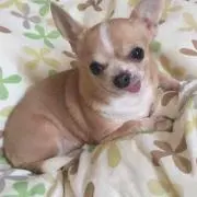 あい（＾ω＾）