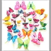 Butterflyの画像