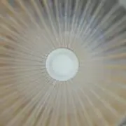 ばきの画像