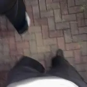 申請の画像