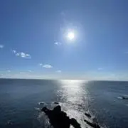 ⭐︎ラン太陽⭐︎の画像