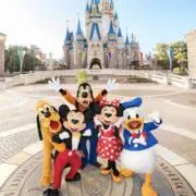 ❁⃘の画像